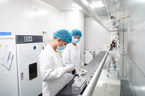 專注醫療科技前沿，廈門海滄這家企業如何深耕微創耗材與網絡信息技術研發